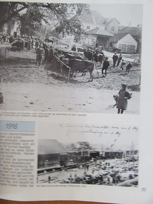 Sehr schöner Bildband - Chronik über Lauterach aus dem Jahr 1985   Bild 8