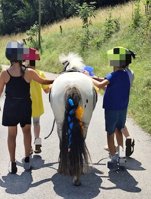 Liebe 3 jährige Pony Stute sucht neues Zuhause  Bild 4