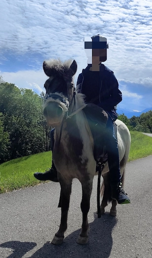 Liebe 3 jährige Pony Stute sucht neues Zuhause  Bild 5
