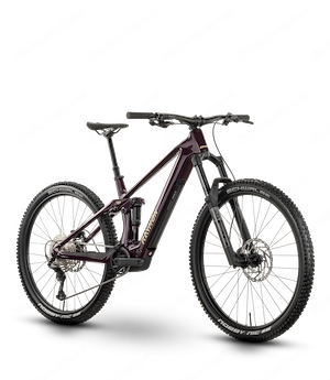 E-Bike Raymon Airok Comp, 400 Wh, Bosch Performance Line SX 60Nm, Mountainbike, Gr. Medium Bild 2