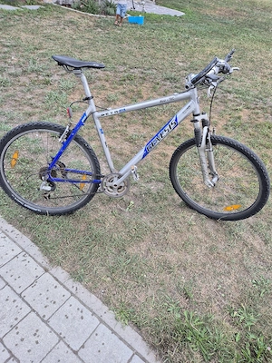 Genesis 26 Zoll Bild 3