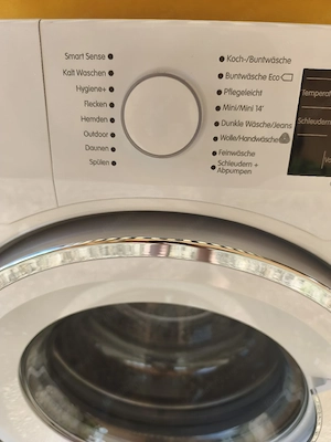 Waschmaschine Elektra Bregenz 8kg  Bild 2