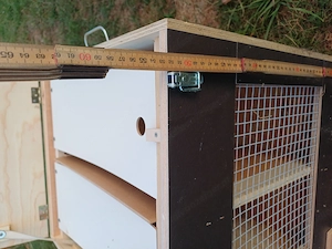 Neuwertige Geflügeltransportbox Bild 2