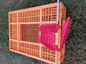 Neuwertige robuste Geflügeltransportbox Bild 3