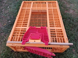 Neuwertige robuste Geflügeltransportbox Bild 5