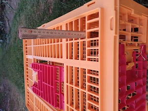 Neuwertige robuste Geflügeltransportbox Bild 2