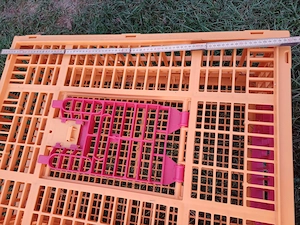 Neuwertige robuste Geflügeltransportbox Bild 4
