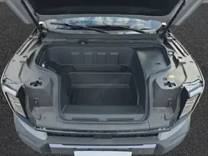 Maxus eTerron Bild 11