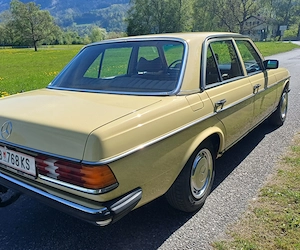 Mercedes 250 W123 Bild 4