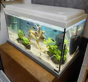  Aquarium  Bild 2