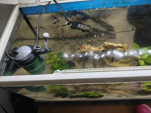  Aquarium  Bild 3