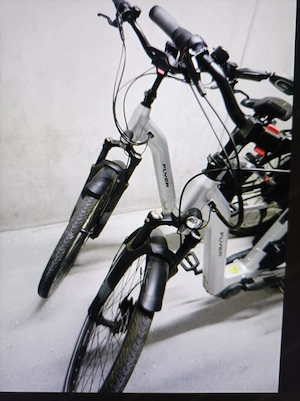 2 Stück Flyer E-Bikes zu verkaufen Bild 3