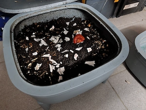 Wurmkiste ökodüngerproduktion Bild 2
