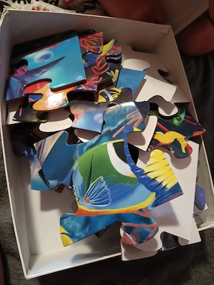 Verkaufe Fussbodenpuzzle Bild 2