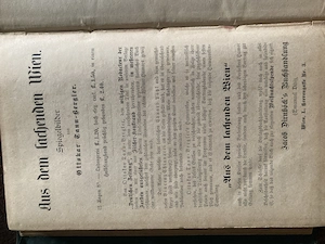 Die praktische Wiener Köchin  Bild 5