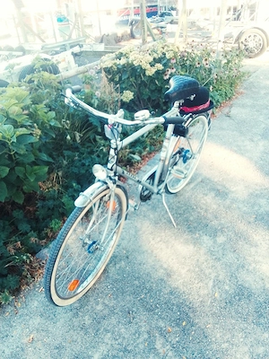 Fahrrad  Epple antik Bild 2