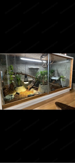 Terrarium  Bild 2