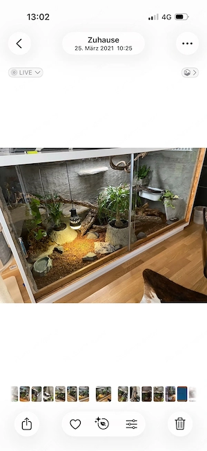 Terrarium  Bild 4
