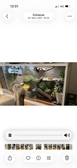 Terrarium  Bild 3