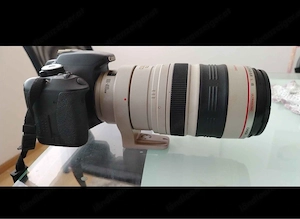 CanonCanon EF 100-400mm f 4.5-5.6 L IS USM Profi-Telezoom + Canon EOS Kamera