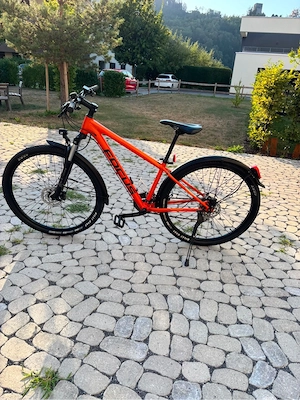 Fahrrad 27 Zoll Focus Bild 2