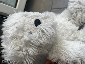 Weißer Teddybär zottelig Kuscheltier Bild 2