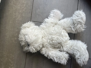 Weißer Teddybär zottelig Kuscheltier Bild 3