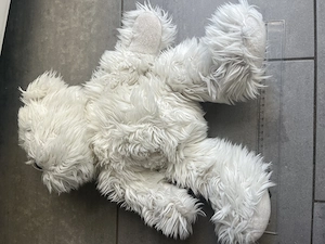 Weißer Teddybär zottelig Kuscheltier Bild 4