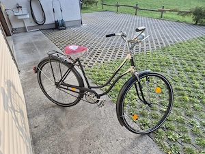 PUCH Styria Lux Damenfahrrad Bild 2