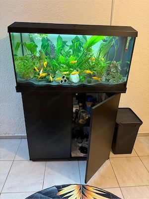 Aquarium 110L Bild 2