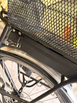 E bike Victoria Bild 3