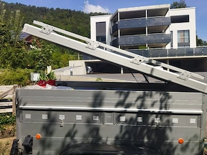 Hundetransport  Bild 3