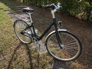 Damenfahrrad Pro Cycle Bild 7