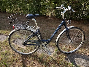 Damenfahrrad Pro Cycle Bild 6