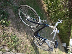 Damenfahrrad Pro Cycle Bild 2