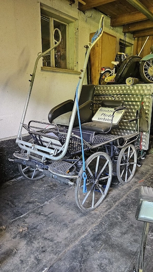 Kutsche Marathonwagen Bild 3