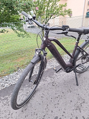 ebike Scott Sub Tour Eride 20 Bild 2