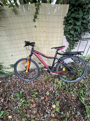 Fahrad.     Bild 2