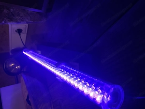 UV-Licht, 5 Stück,  für Partys, Deko, Partyraum Halloween oder andere Schwarzlicht-Effekte. Bild 3