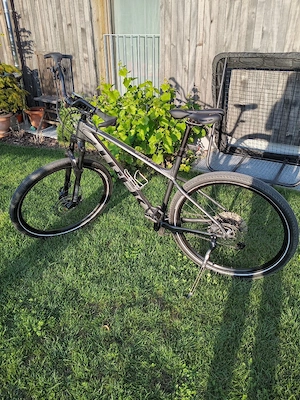 Mountainbike Trek XCALIBER 29 Zoll  Bild 2