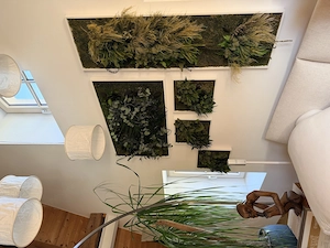 5 Echtpflanzenbilder Stylegreen Bild 4