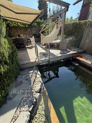 Poolleiter Bild 2