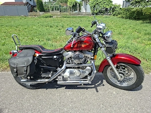 Harley 883 sporti Bild 3