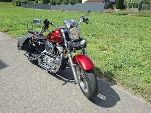 Harley 883 sporti Bild 5