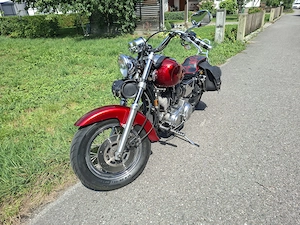 Harley 883 sporti Bild 4