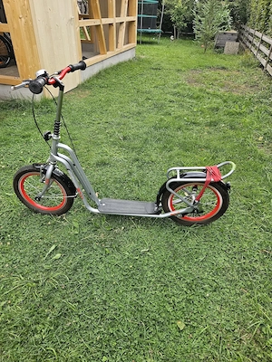 großer Roller Bild 2