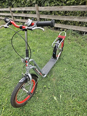großer Roller Bild 3