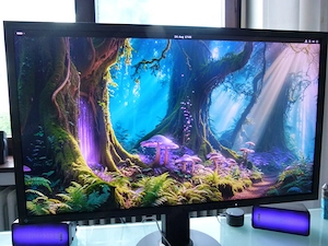 Eizo FlexScan EV3237 31,5 Zoll 4K IPS Monitor   Erstbesitz Bild 9