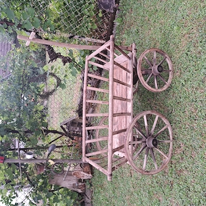 Hsndleiterwagen Bild 2