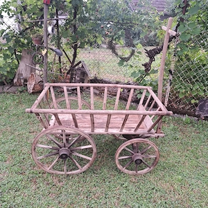 Handleiterwagen Bild 2